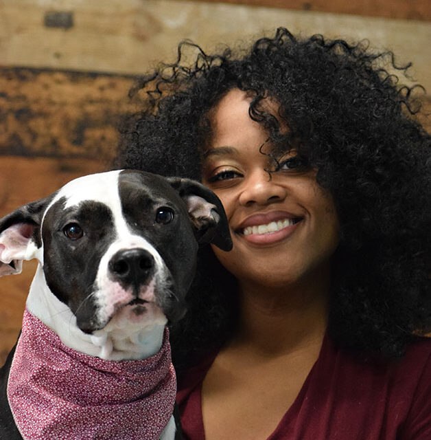 work with dogs team member with black and white pitty dog