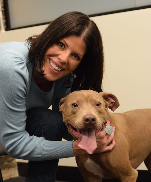 owner with pitty mix portrait